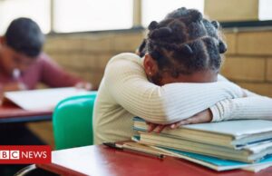 As crianças superdotadas negligenciadas ou expulsas das escolas: ‘Meu filho era visto como problema’