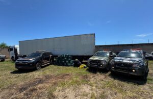 Forças de segurança apreendem 757 tabletes de droga e causam prejuízo de R$ 16,6 mi