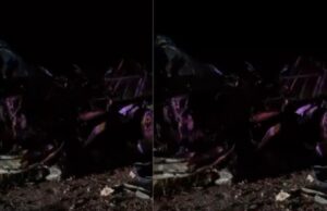 15:22 –
Motorista morre e duas pessoas ficam feridas em batida entre F-1000 e caminhão em rodovia de MT