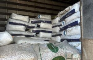 15:49 –
Polícia Civil recupera veículo e carga de produtos agropecuários furtados de empresa