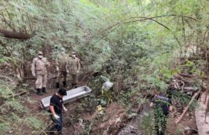 16:18 –
Corpo de homem é encontrado em decomposição em córrego atrás de motel