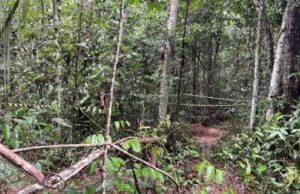 10:55 –
Corpo encontrado em cemitério clandestino é de adolescente com 15 anos