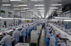 Preأ§os de alimentos caem no atacado apأ³s 10 meses, e podem aliviar para o consumidor no futuro | Economia