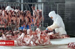 Imigração: os brasileiros que vão para a Irlanda trabalhar em ‘condições precárias e abusivas’ em frigoríficos