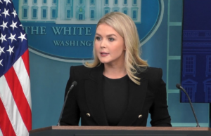 EUA ‘nأ£o vأ£o pagar’ por reconstruأ§أ£o de Gaza, diz porta-voz de Trump, que voltou atrأ،s em deslocamento permanente de palestinos | Mundo