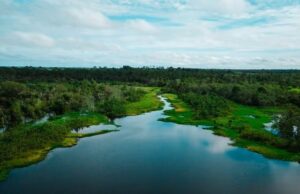 Governo facilita licenأ§a ambiental especial, apأ³s Congresso ameaأ§ar derrubar vetos de Lula