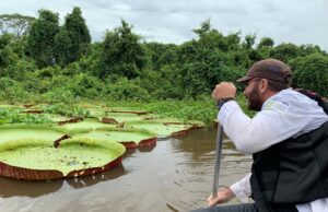 Mato Grosso sediará COP Pantanal para debater ações Climáticas