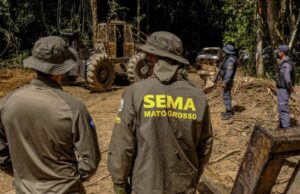 Mutirão de conciliação ambiental da Sema arrecada R$ 15,3 milhões e garante recuperação de quase 8 mil hectares