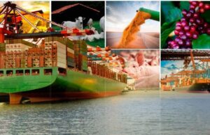 Exportações somam quase R$ 3 trilhões no ano; agro lidera com alta