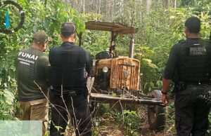 Operação conjunta combate desmatamento ilegal em terras indígenas
