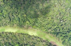 Governo tenta evitar derrota em licenciamento ambiental perto da COP