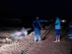 Vigilante mata funcionário após discussão em fazenda de MT