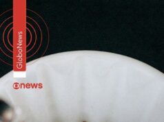 EUA reduzem tarifa para café, carne, banana e açaí, entre outros itens