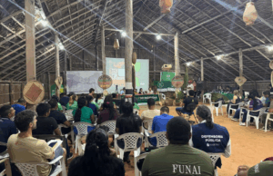 MinC e UFRJ oferecem bolsas para projetos, lideranças indígenas e ribeirinhas na Rede de Formação em Cultura Digital Labic Amazonas