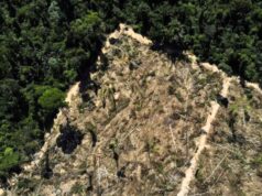 MP investiga Sema por possíveis irregularidades na aprovação de Planos de Suprimento Sustentável