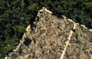 MP investiga Sema por possíveis irregularidades na aprovação de Planos de Suprimento Sustentável