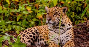 Feirão Fit Turismo oferece descontos de até 20% em viagens por Mato Grosso