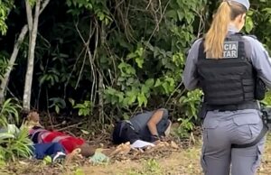 Três corpos com sinais de execução são encontrados em área de mata em Sinop