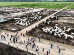 Sema capacita mais de 120 servidores municipais e profissionais liberais na Descentralização da Gestão Ambiental