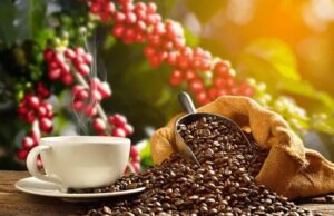 Agro atinge recorde de R$ 168,6 bilhões, impulsionada por café, soja e leite